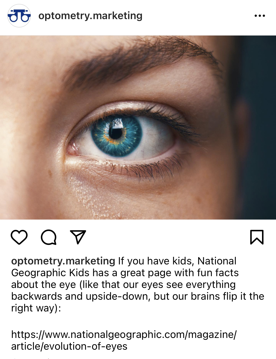 The Ultimate Social Media Posting Guide for Optometrists
